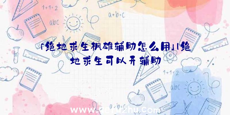 「绝地求生枭雄辅助怎么用」|绝地求生可以开辅助